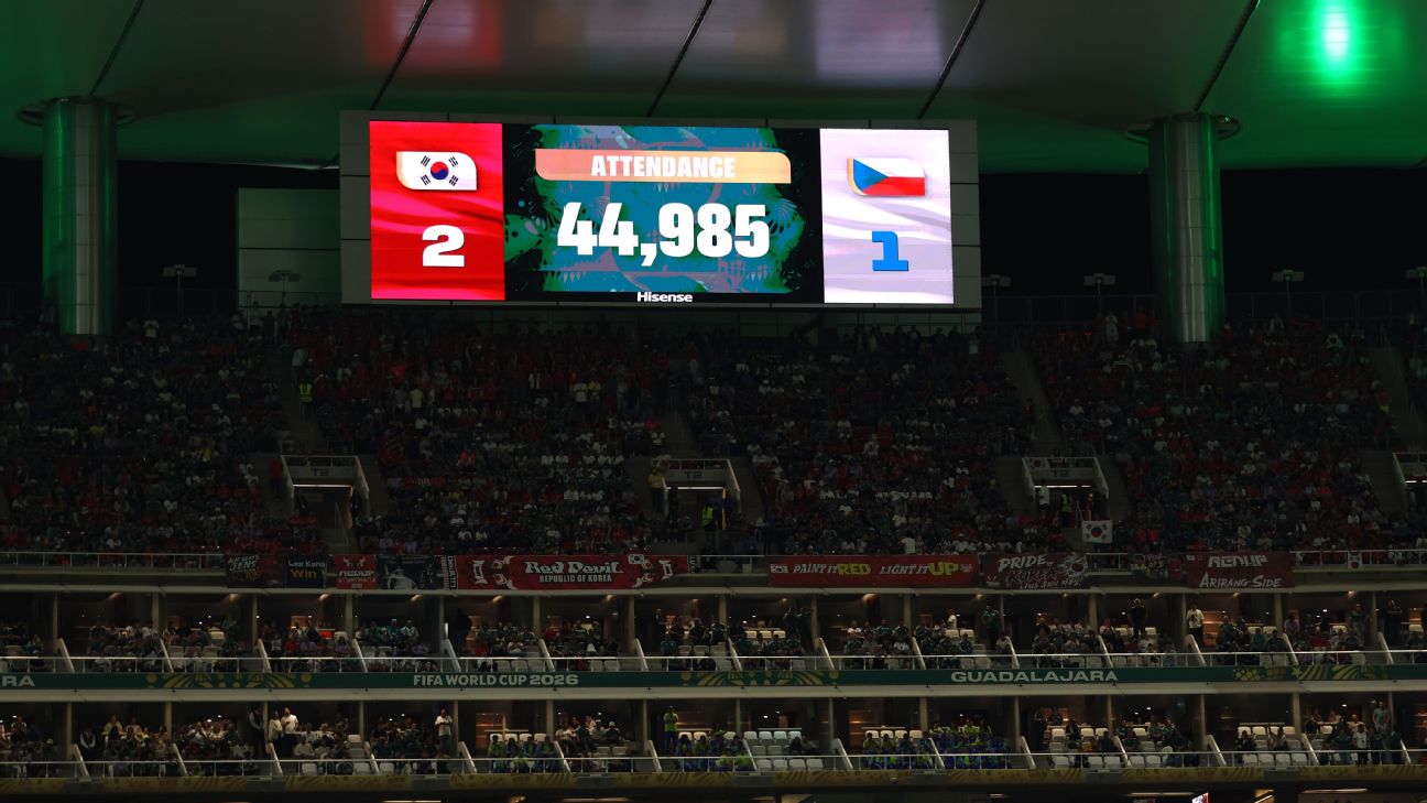 韩国战捷克上座人数遭质疑，FIFA为4.4万官方数据力辩